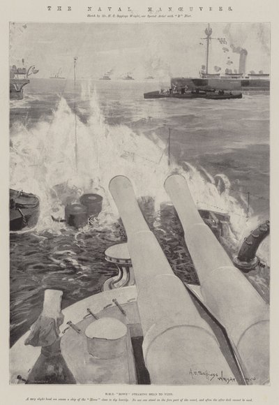 The Naval Manoeuvres by Henry Charles Seppings Wright